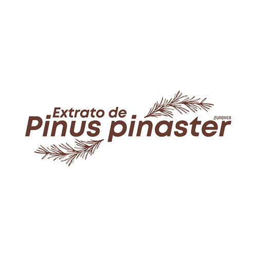 Pinus Pinaster